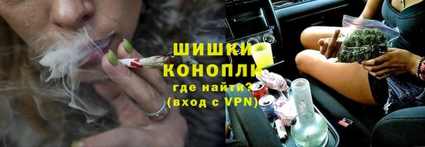 сатива Балахна