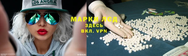 сатива Балахна