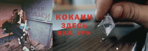 сатива Балахна