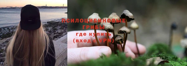 сатива Балахна