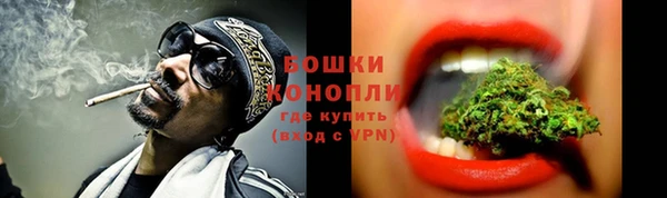 сатива Балахна