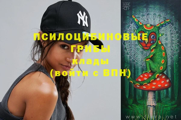 сатива Балахна