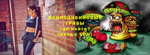 сатива Балахна