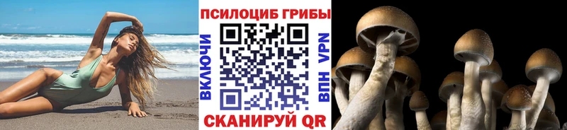 Галлюциногенные грибы прущие грибы  Заозёрск 